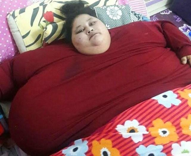全球最大吨位全地面起重机成功研制下线