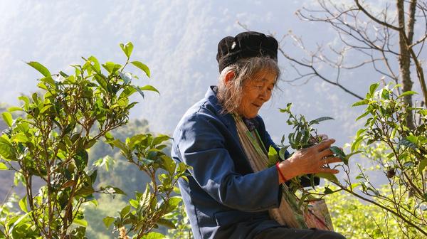 部队穿越哀牢山现场实拍，震撼画面展现！