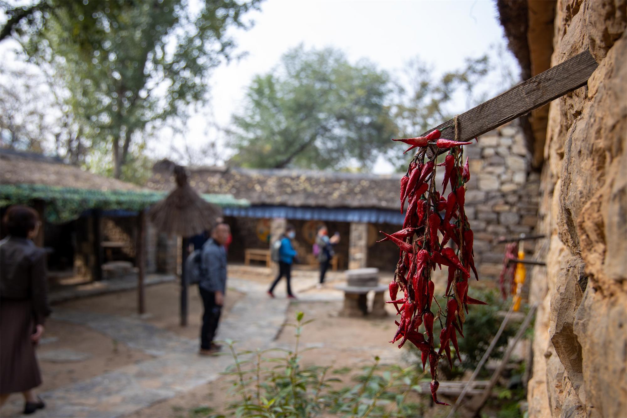 金秋十月红色旅游热潮持续高涨