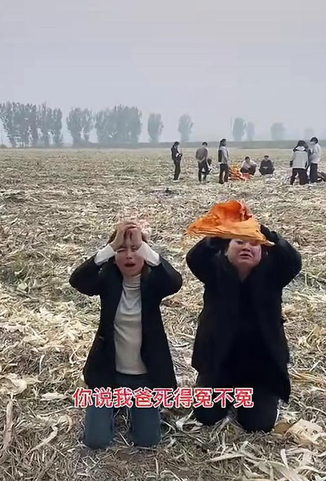 关于老人拾玉米被打致死事件的最新回应，当地调查处理进展更新