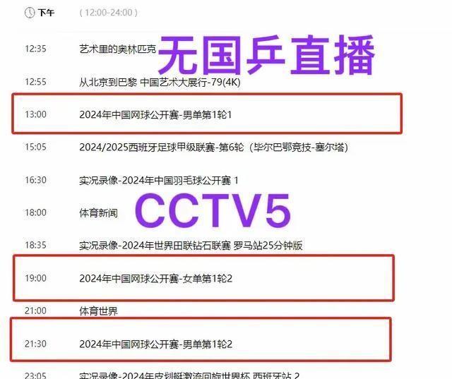 王楚钦回国，全面指南——网友建议休息调整状态