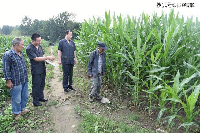 老人拾玉米被打致死伤事件引发关注，当地回应与心灵平静之旅背后的悲剧