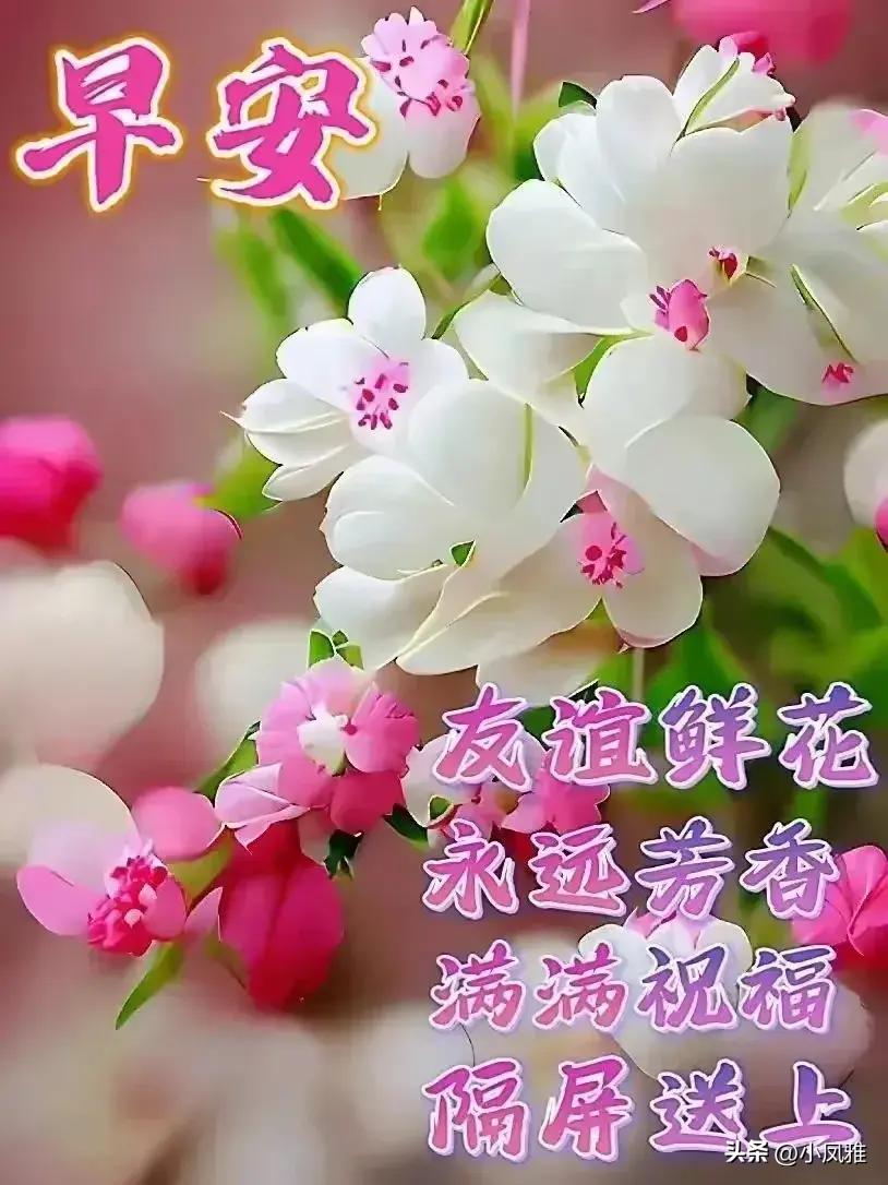2024天天彩全年免费资料，全面解答解释落实_iPhone68.58.96