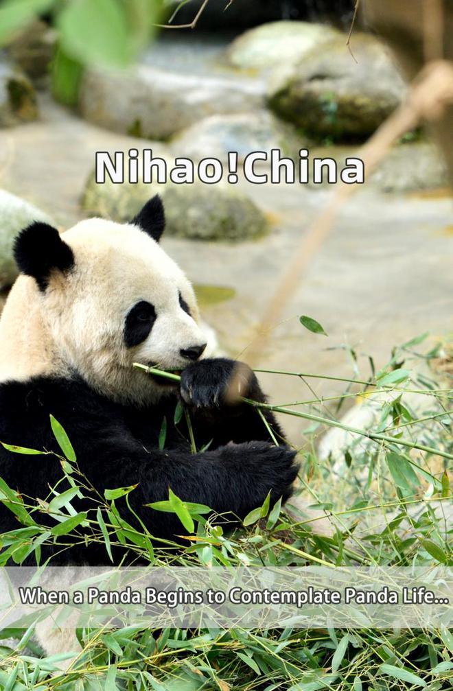 大熊猫彻夜树上沉思，变化、学习与自信的力量之旅