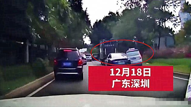 韩国特斯拉火灾悲剧与日常温情纽带，小记中的陪伴时光与悲剧反思