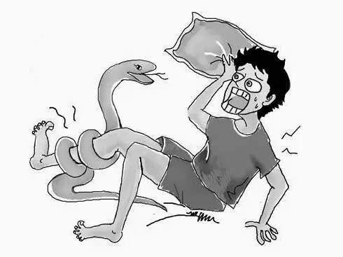 男子夜爬遭遇蛇咬，紧急状况下的生死瞬间