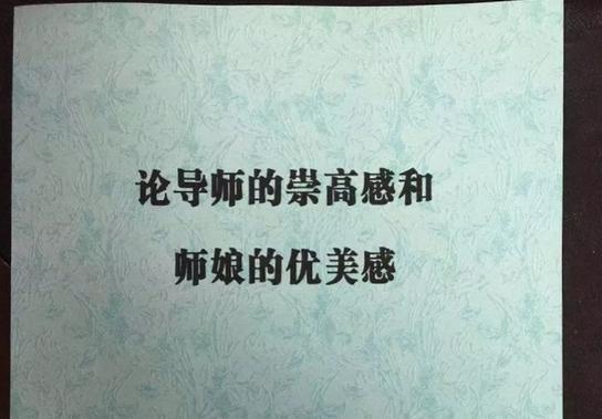 西北大学教授风波揭秘，学术不端事件背后的小巷学术与美食探寻之旅