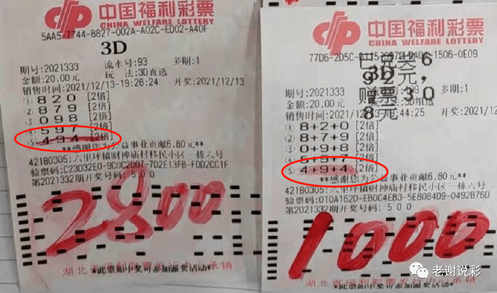 2024澳门天天开好彩大全53期，决策资料解释落实_3D11.69.76