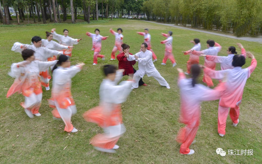武当武术海内外推广中心授牌仪式，探索自然美景与内心平和的旅程启动