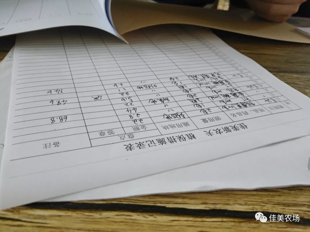 新澳门内部一码精准公开，动态词语解释落实_战略版18.11.97