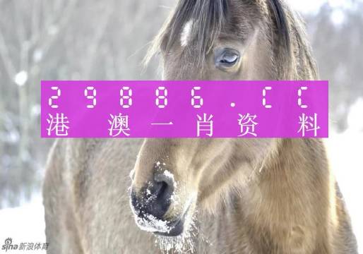最准一肖一码100%澳门，最佳精选解释落实_V78.94.52