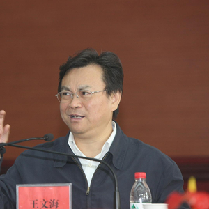 缅怀原河南省司法厅长王文海逝世，纪念步骤指南
