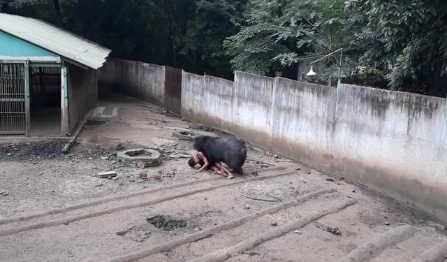 上海养护院困境，人性之困与猪圈般的房间