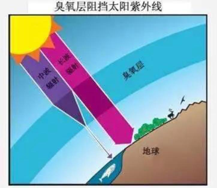 河北邯郸村庄悲剧，科技背后的村民被害案揭秘与智能安全卫士行动守护