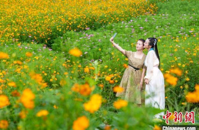 女子花800万委托炒股，心灵之旅与股市风云共舞