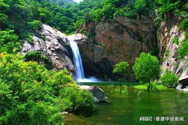 河南县城遭遇近2000头野猪出没，前沿科技助力护航新篇章体验记