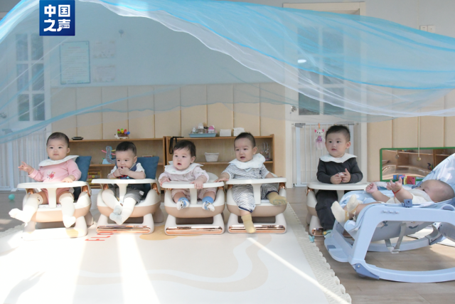 浙江公办幼儿园的乳儿班，童趣盎然的教育之旅