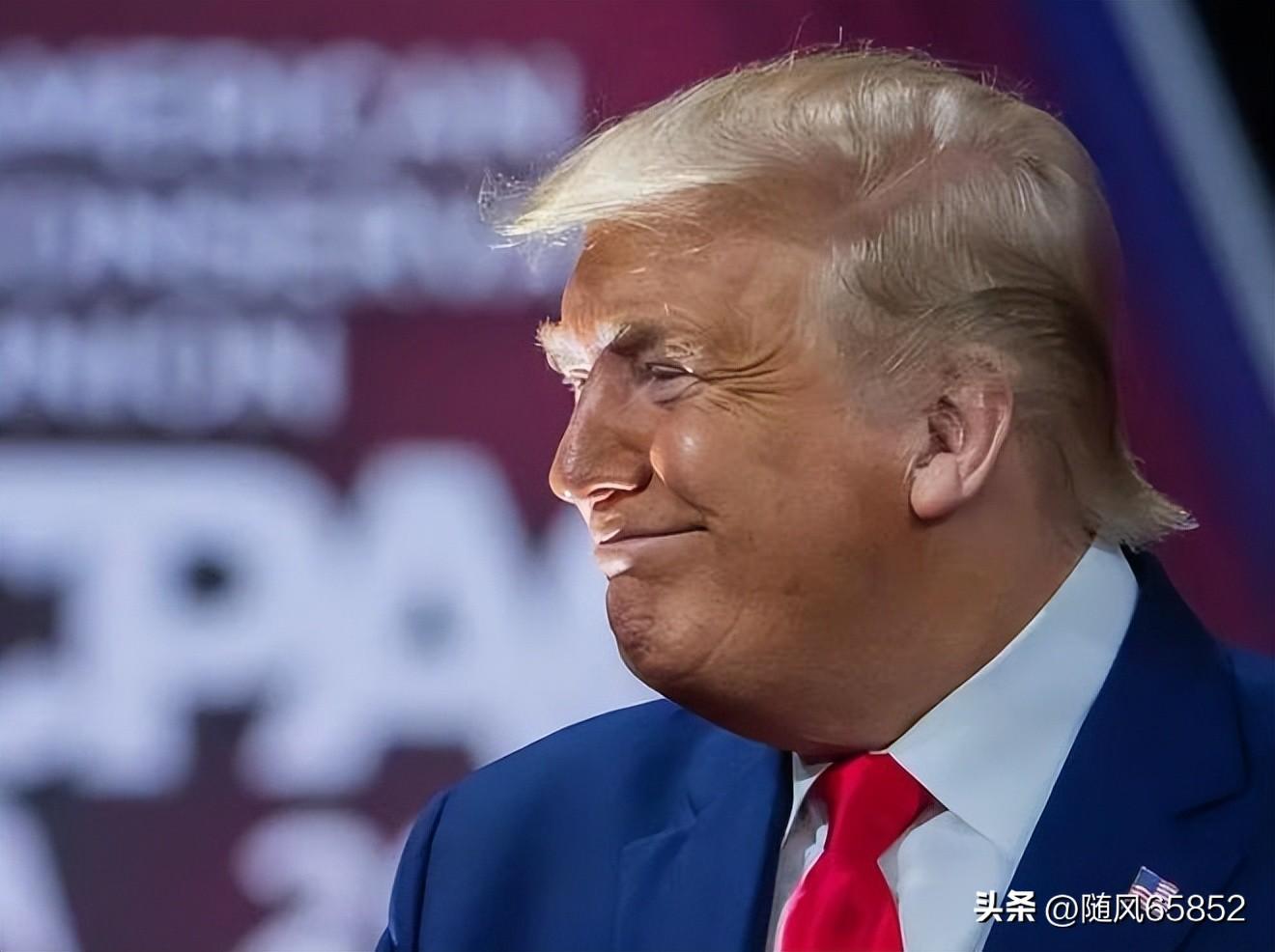 特朗普护航小队与小巷独特风味，一场独特的探索之旅