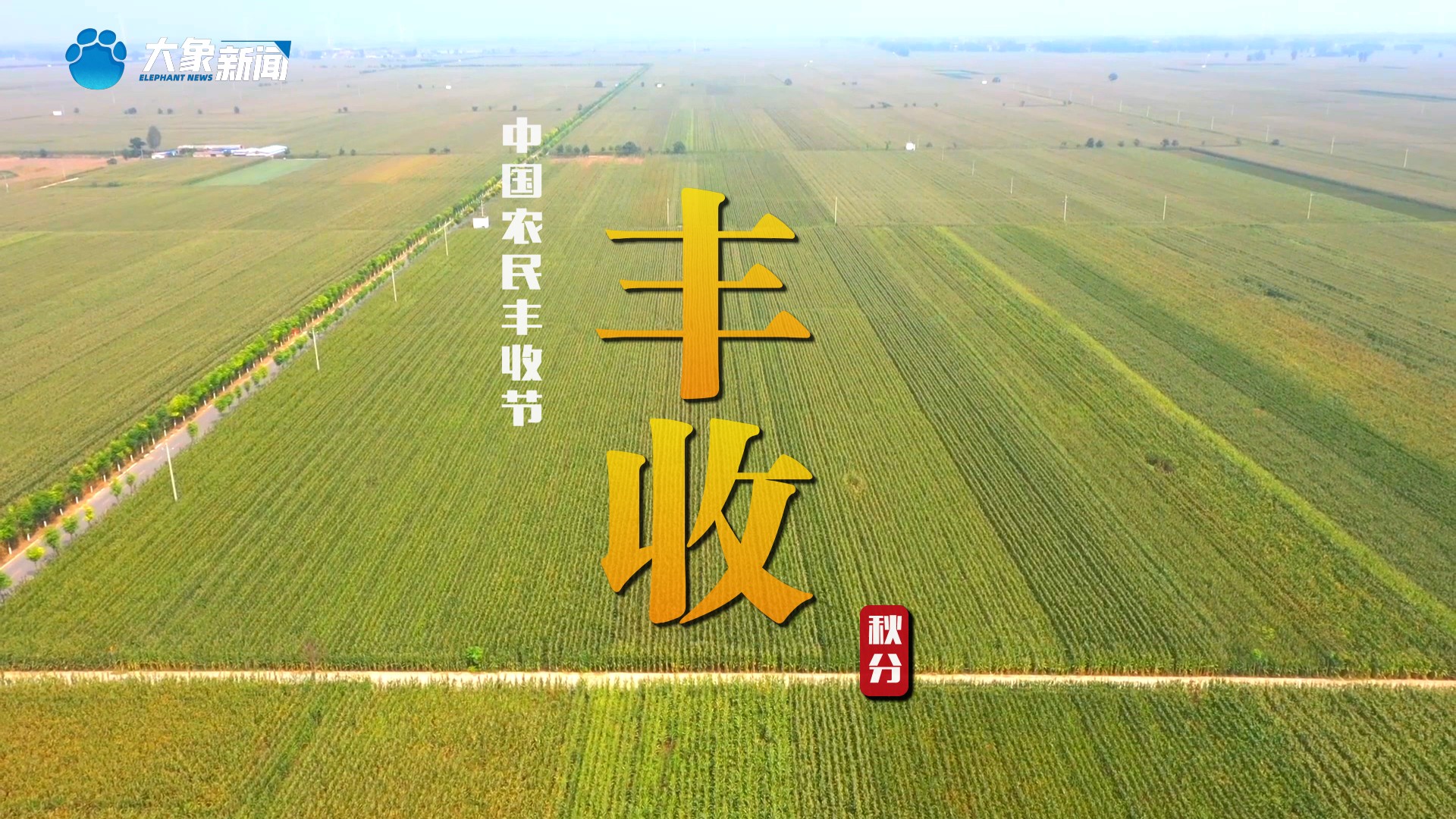 30秒领略一年好丰景，美好瞬间尽在其中。