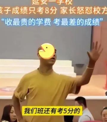 海关回应天价红薯背后的故事，学习、自信与成就的力量源自日本探索之路