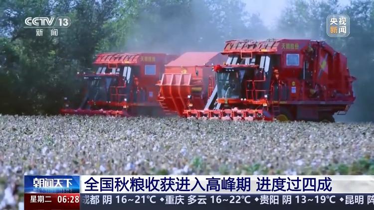 全国秋粮收获高峰来临，自信与成就感的季节来临