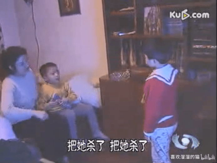 男子网售野生发菜获刑背后的故事，独特小店背后的秘密与启示