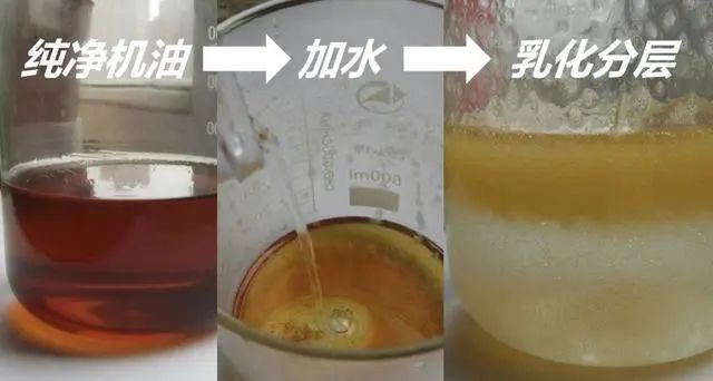 第6023页