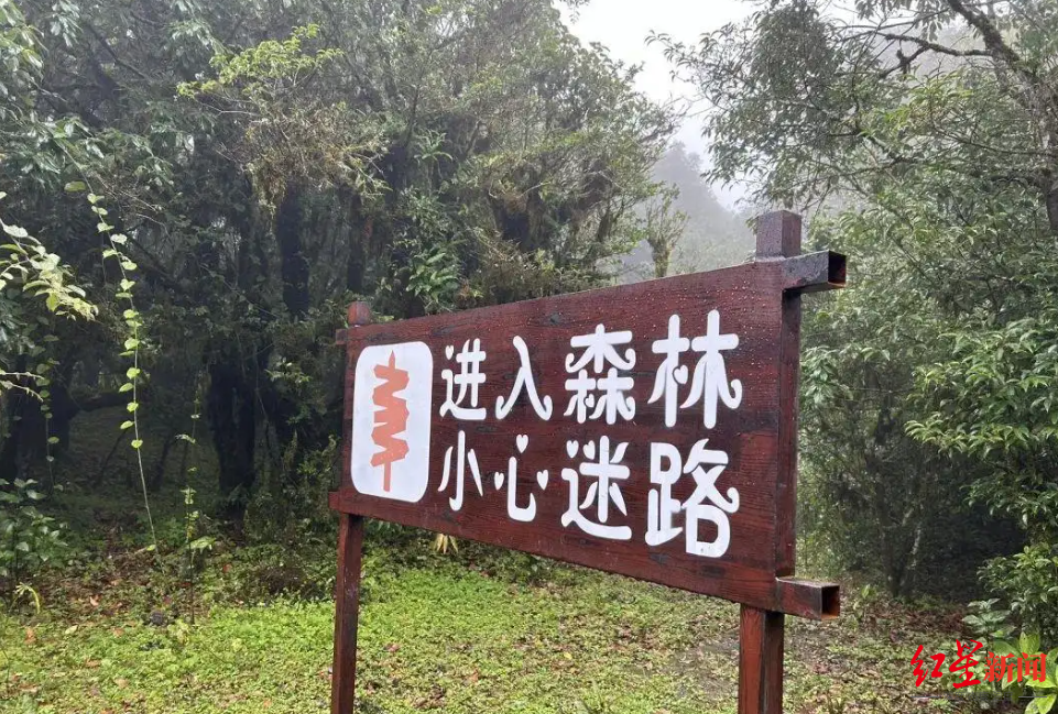 哀牢山未来半月徒步团爆满，徒步探险成热门选择