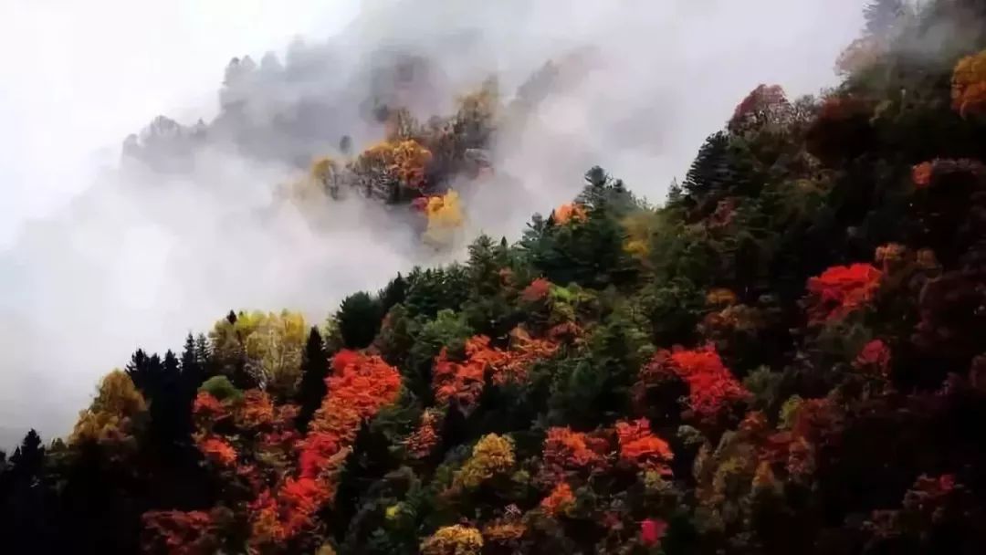 哀牢山徒步团