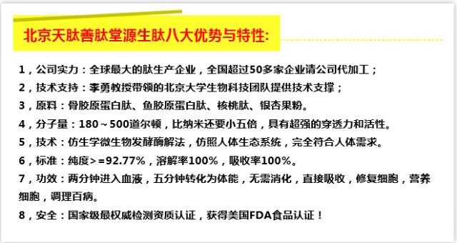 美国最新入境政策下的探索奇遇，小巷特色小店故事揭秘