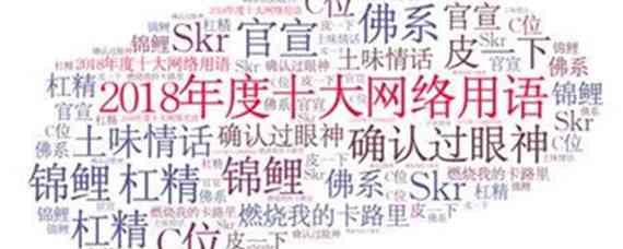 最新网络用语现象，影响、观点一网打尽！