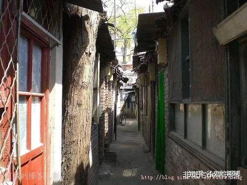 张艺谋最新动态揭秘与小巷特色小店探秘之旅