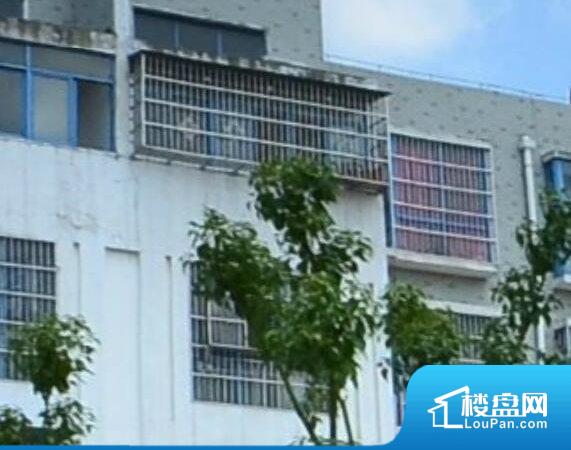 阜阳最新二手房探索自然美景之旅，寻找内心平和的平和家园