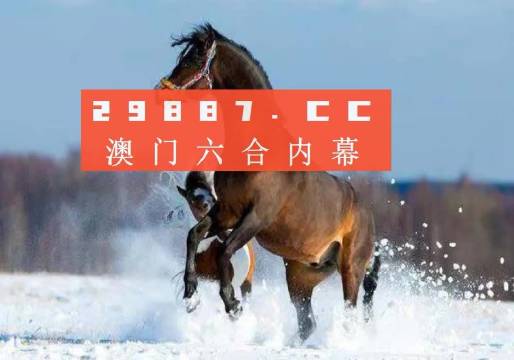 2024澳门天天六开彩免费,长效性的落实方案_pro97.952