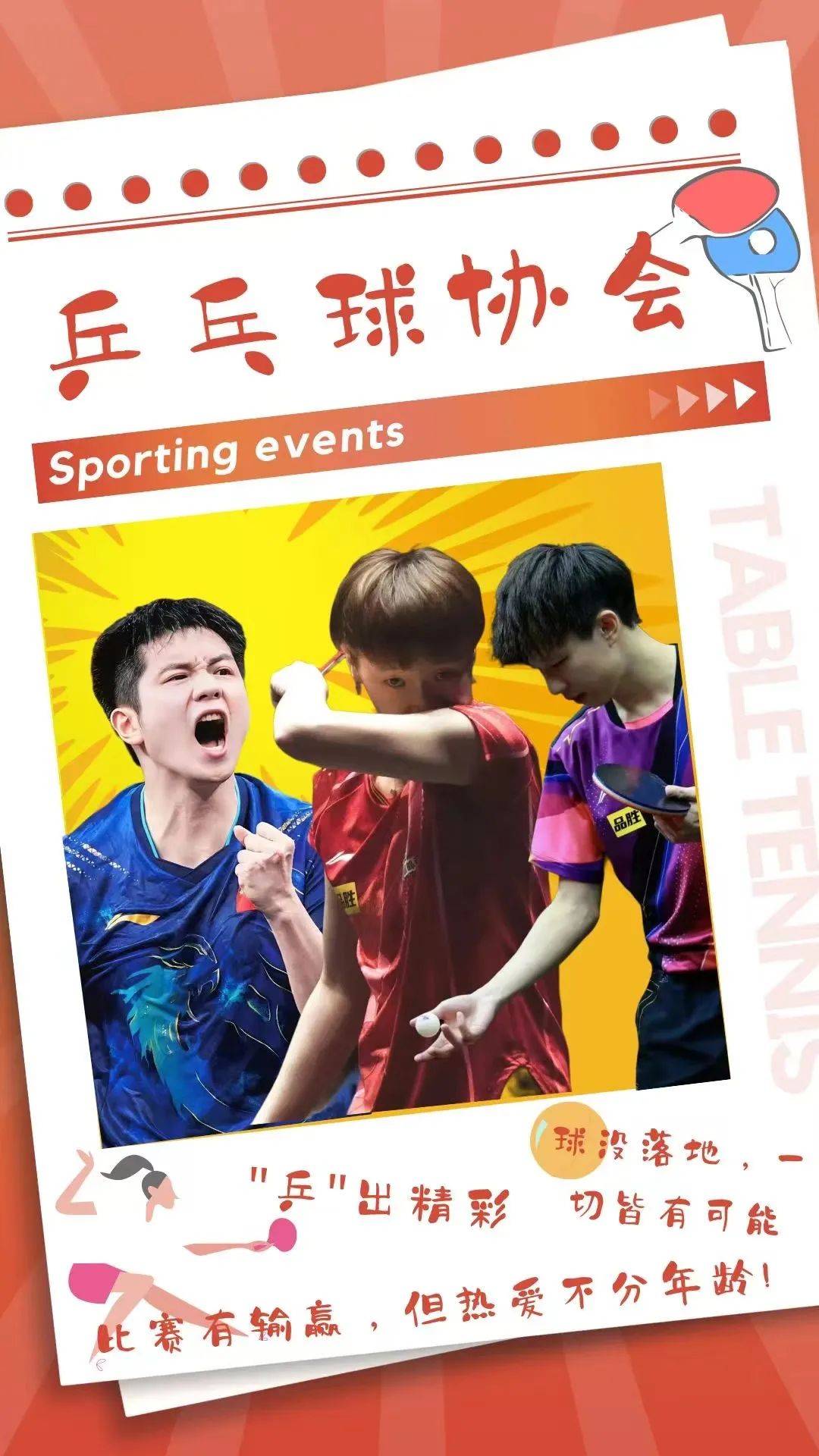 最新乒乓球新闻，小球传递大情，友谊的乒乓盛宴盛宴开启