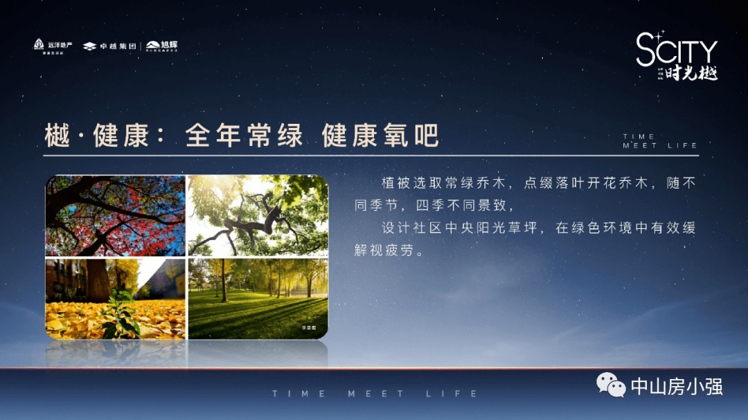 新澳2024年最新版资料,标准化目标落实解答_电子集18.089