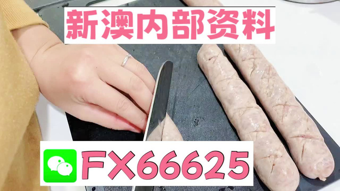 2024新澳精准资料大全,动态化解释落实策略_复刻品57.179
