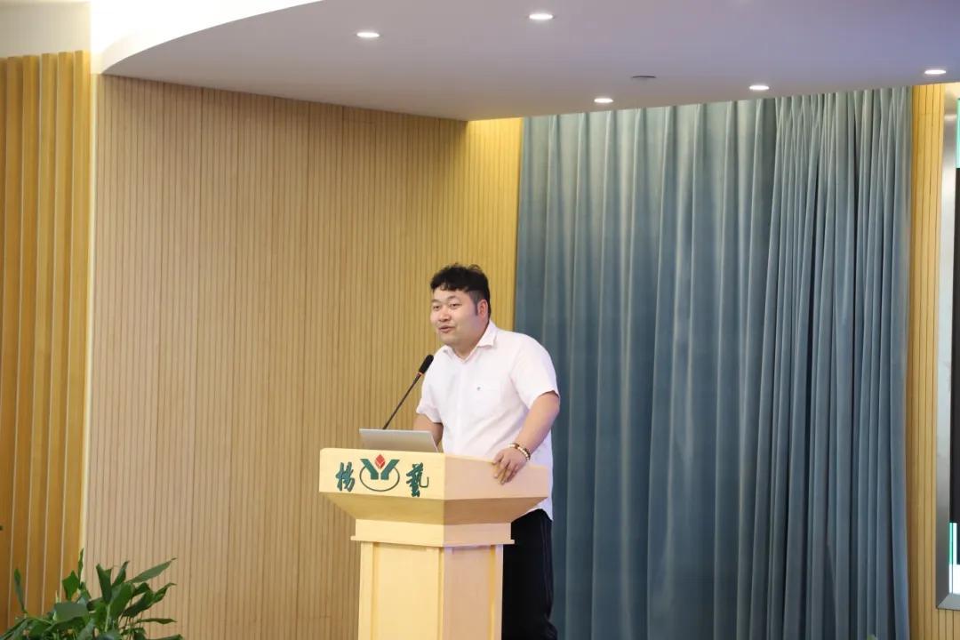香港2024最准马资料免费,创新计划思维解答解释_桌面版6.269