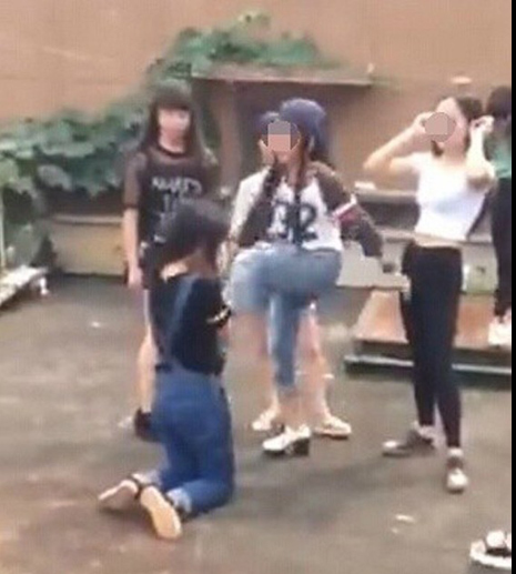 小巷深处的秘密，少女遭遇校园霸凌与一家特色小店的命运交织