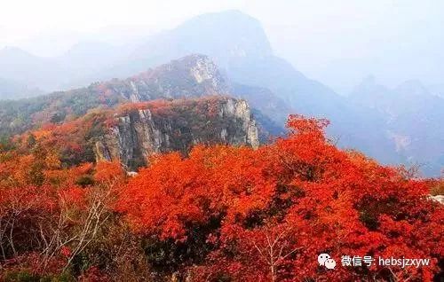 全国赏红叶地图出炉，红叶之梦，共赏前行之路