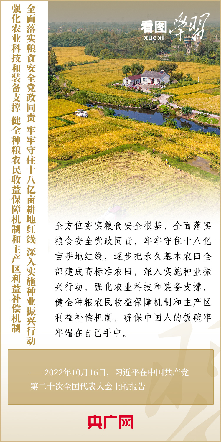端牢中国饭碗的底气与自信