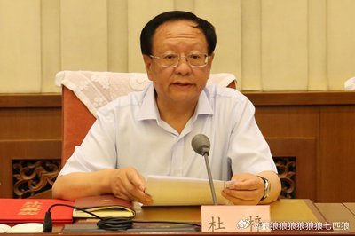 重磅新闻！揭秘杜梓被捕背后的真相