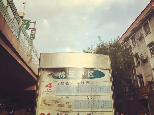投资指南与深度解析