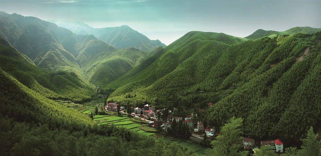 中方持续致力于实现无核武器世界的愿景