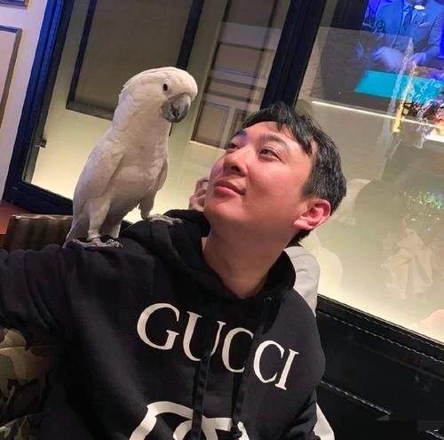 王思聪持股榴莲娱乐公司经营异常，原因与影响探究