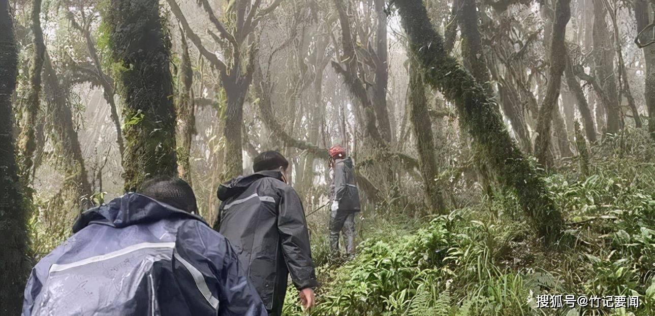 部队穿越哀牢山现场攻略与步骤指南，从入门到进阶的实战指南