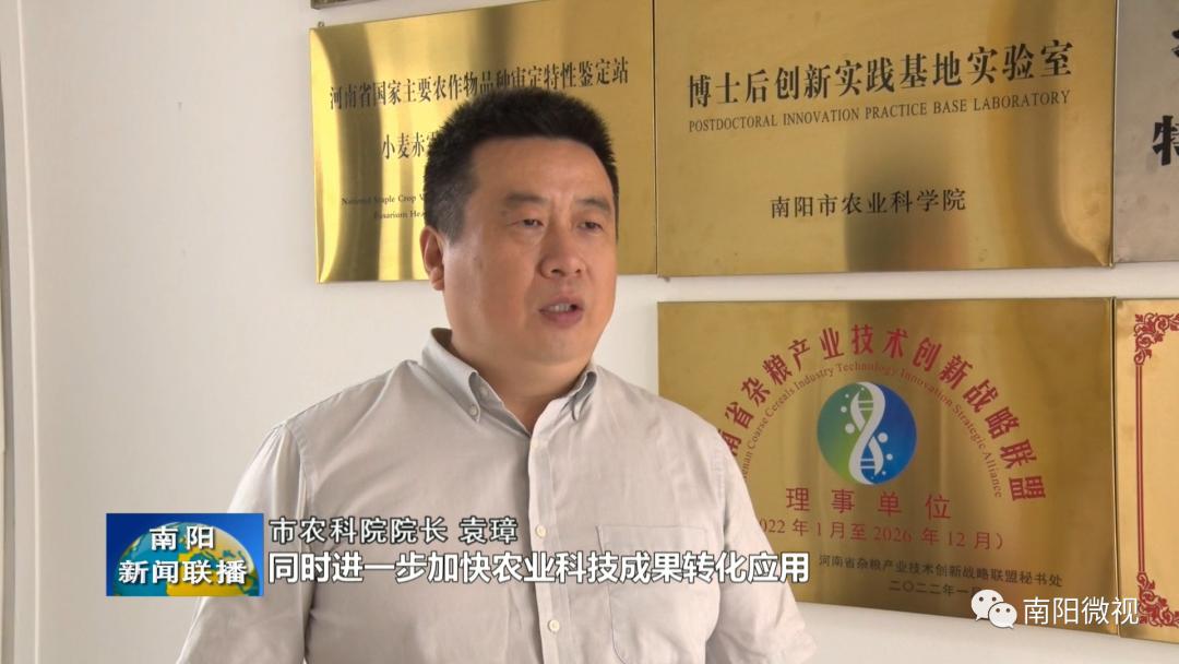 粮食安全