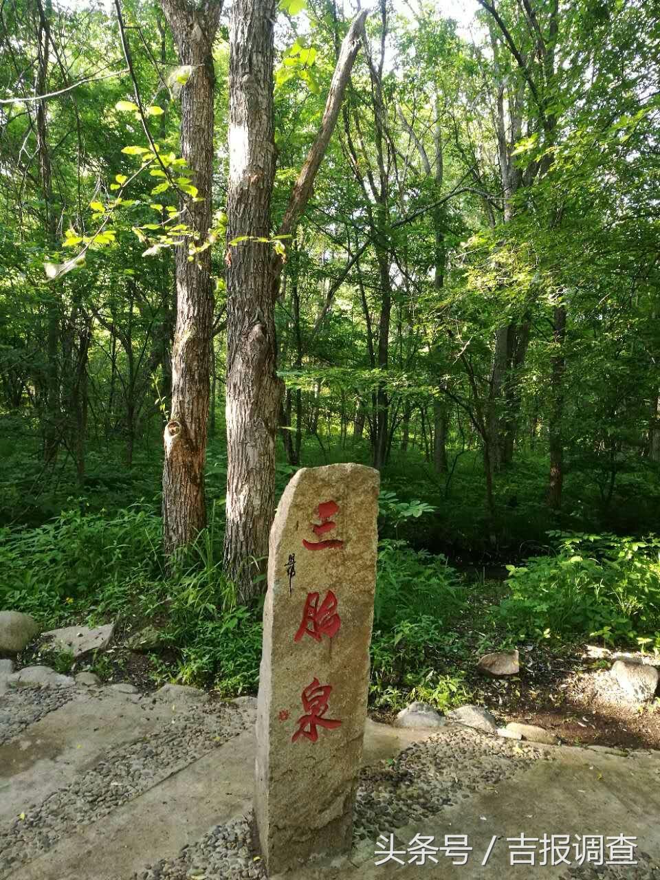 恒为科技最新动态，自然美景探秘之旅，心灵远离尘嚣的启程