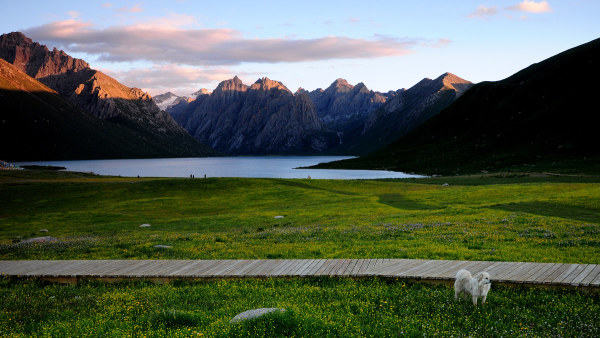 乳山热线最新招聘，探索自然美景，寻找内心平和与宁静的旅程