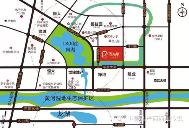 平原新区新脉动，城市发展与温馨日常的最新消息
